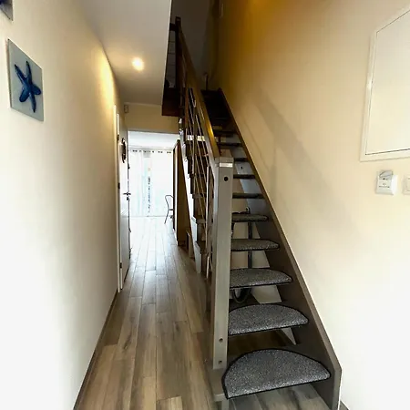 Siedem Wydm * רובי